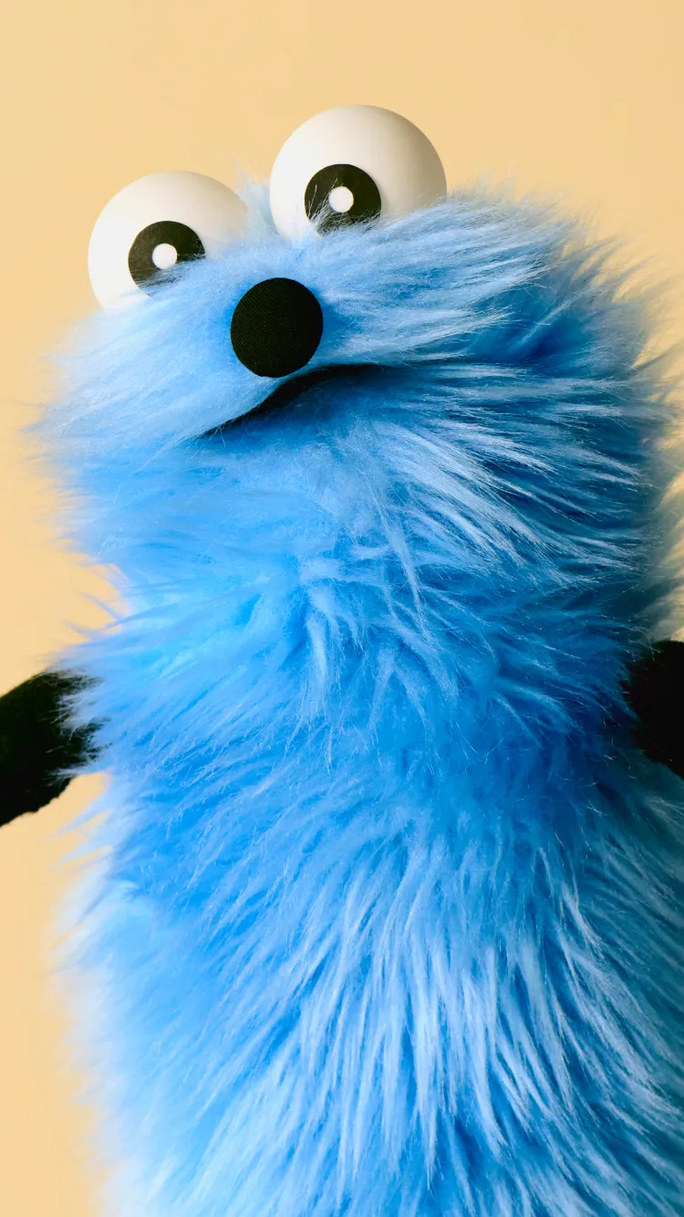 パペットスンスン PUPPET SUNSUN